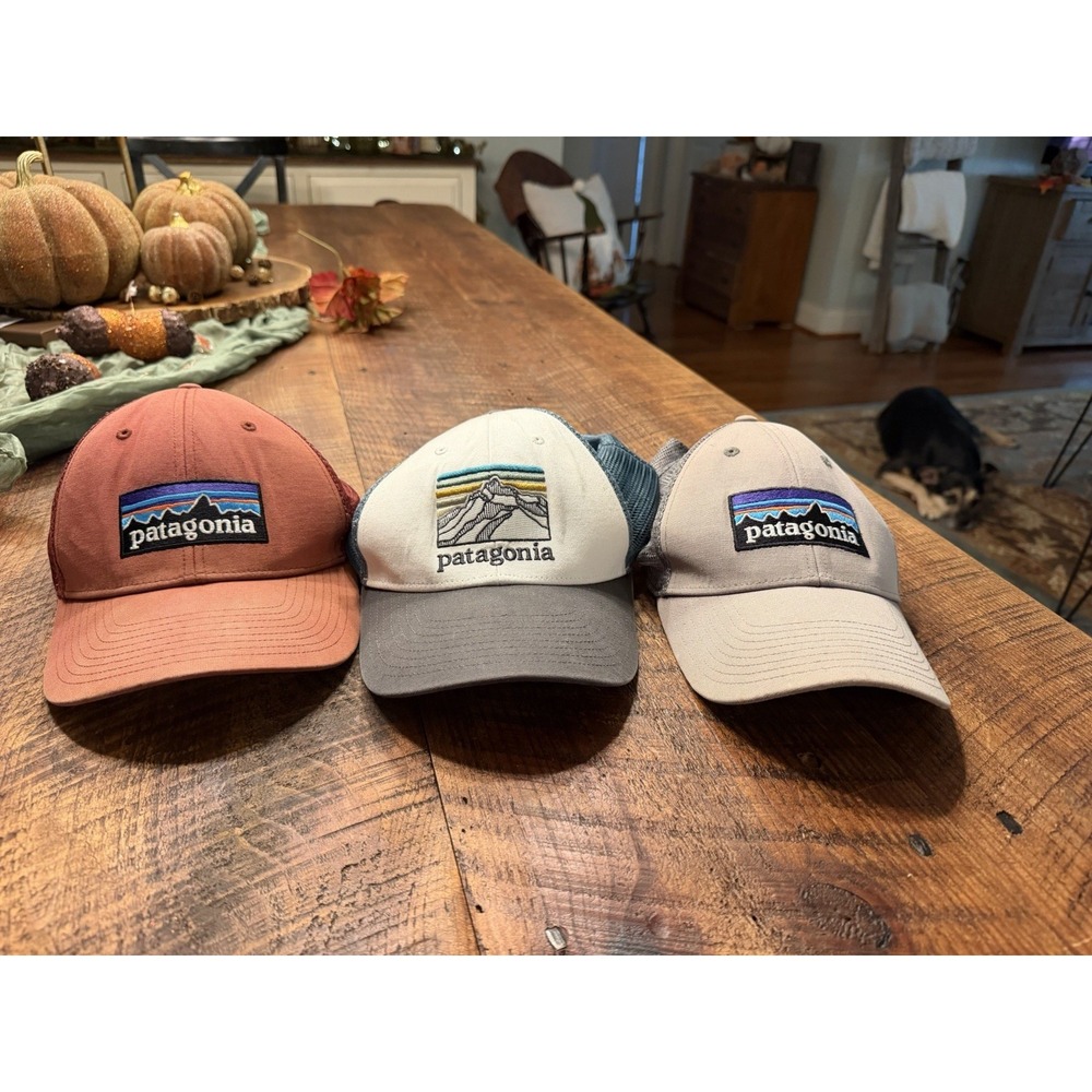 Lot 3 Patagonia Trucker Hat Patch Box Logo Snapback Baseball Hat Cap Distressed